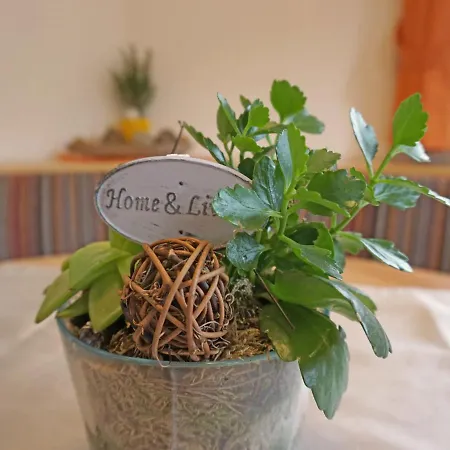 公寓 Leiter-1 By Interhome *